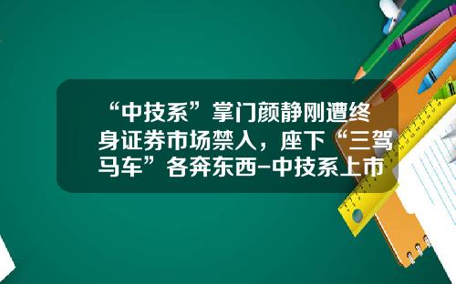 “中技系”掌门颜静刚遭终身证券市场禁入，座下“三驾马车”各奔东西-中技系上市公司