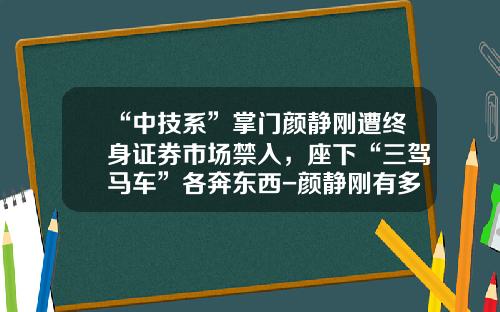 “中技系”掌门颜静刚遭终身证券市场禁入，座下“三驾马车”各奔东西-颜静刚有多少资产