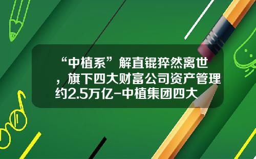 “中植系”解直锟猝然离世，旗下四大财富公司资产管理约2.5万亿-中植集团四大财富公司