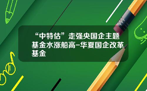 “中特估”走强央国企主题基金水涨船高-华夏国企改革基金