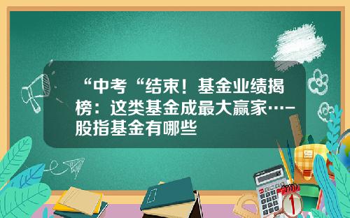 “中考“结束！基金业绩揭榜：这类基金成最大赢家…-股指基金有哪些