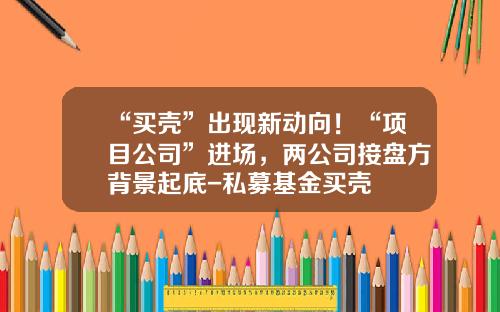 “买壳”出现新动向！“项目公司”进场，两公司接盘方背景起底-私募基金买壳