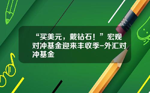 “买美元，戴钻石！”宏观对冲基金迎来丰收季-外汇对冲基金