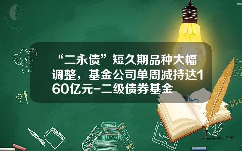 “二永债”短久期品种大幅调整，基金公司单周减持达160亿元-二级债券基金