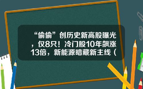 “偷偷”创历史新高股曝光，仅8只！冷门股10年飙涨13倍，新能源暗藏新主线（附股）-有关股票的资讯