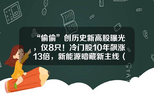 “偷偷”创历史新高股曝光，仅8只！冷门股10年飙涨13倍，新能源暗藏新主线（附股）-股票一定要知道的资讯