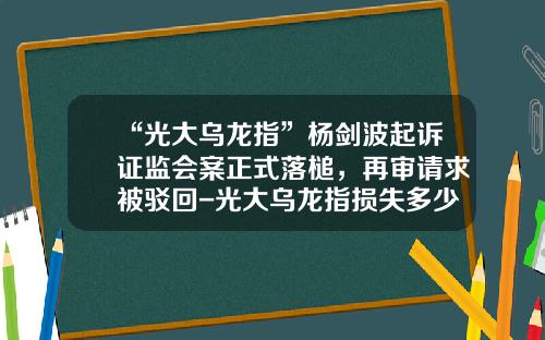 “光大乌龙指”杨剑波起诉证监会案正式落槌，再审请求被驳回-光大乌龙指损失多少钱