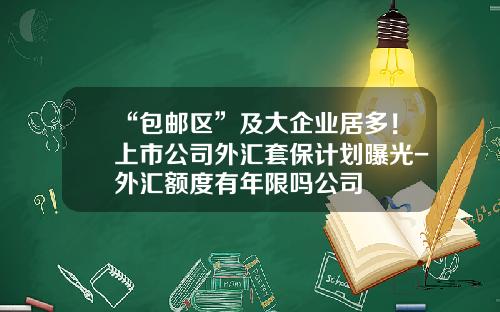 “包邮区”及大企业居多！上市公司外汇套保计划曝光-外汇额度有年限吗公司