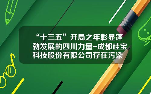 “十三五”开局之年彰显蓬勃发展的四川力量-成都硅宝科技股份有限公司存在污染