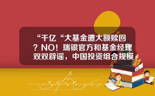 “千亿“大基金遭大额赎回？NO！瑞银官方和基金经理双双辟谣，中国投资组合规模无异动#热点复盘#-官方基金