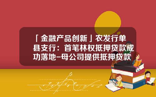 「金融产品创新」农发行单县支行：首笔林权抵押贷款成功落地-母公司提供抵押贷款