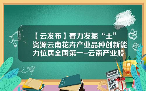 【云发布】着力发掘“土”资源云南花卉产业品种创新能力位居全国第一-云南产业股票资讯