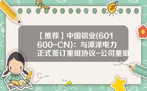 【推荐】中国铝业(601600-CN)：与漳泽电力正式签订重组协议-公司重组协议