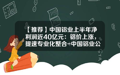 【推荐】中国铝业上半年净利润近40亿元：铝价上涨，提速专业化整合-中国铝业公司基本情况