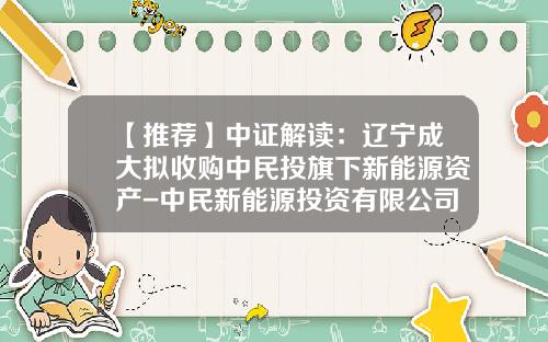 【推荐】中证解读：辽宁成大拟收购中民投旗下新能源资产-中民新能源投资有限公司