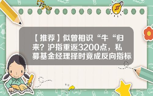 【推荐】似曾相识“牛“归来？沪指重返3200点，私募基金经理择时竟成反向指标，是何原因？行情就在最绝望时展开-股票证券行情最新资讯
