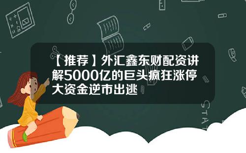 【推荐】外汇鑫东财配资讲解5000亿的巨头疯狂涨停大资金逆市出逃