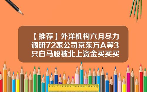 【推荐】外洋机构六月尽力调研72家公司京东方A等3只白马股被北上资金买买买