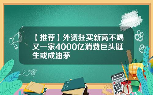 【推荐】外资狂买新高不竭又一家4000亿消费巨头诞生或成油茅