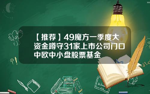 【推荐】49魔方一季度大资金蹲守31家上市公司门口中欧中小盘股票基金