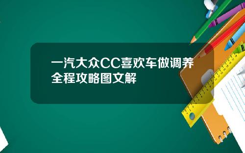 一汽大众CC喜欢车做调养全程攻略图文解