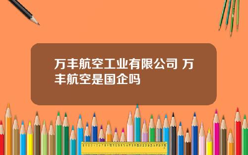 万丰航空工业有限公司 万丰航空是国企吗
