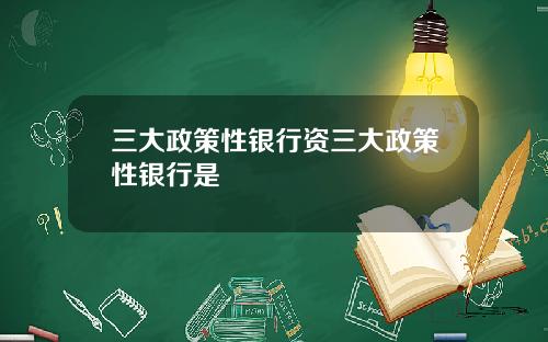 三大政策性银行资三大政策性银行是