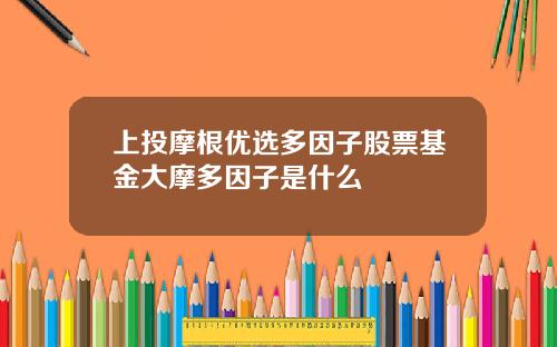 上投摩根优选多因子股票基金大摩多因子是什么
