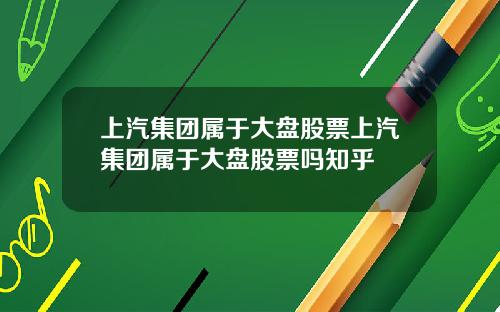 上汽集团属于大盘股票上汽集团属于大盘股票吗知乎