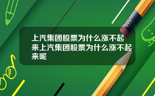 上汽集团股票为什么涨不起来上汽集团股票为什么涨不起来呢