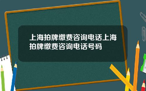 上海拍牌缴费咨询电话上海拍牌缴费咨询电话号码
