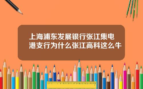 上海浦东发展银行张江集电港支行为什么张江高科这么牛