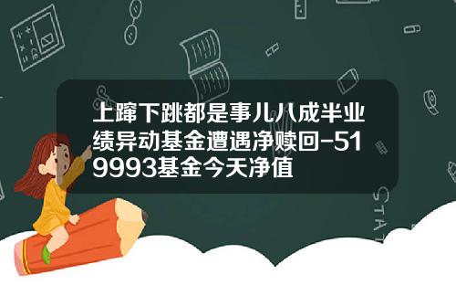 上蹿下跳都是事儿八成半业绩异动基金遭遇净赎回-519993基金今天净值