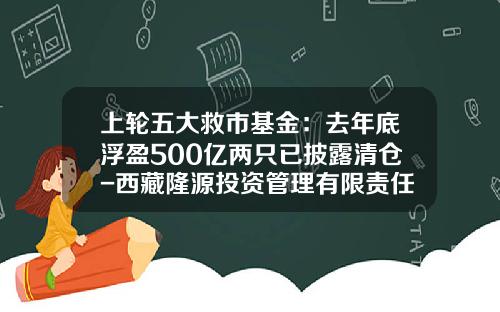 上轮五大救市基金：去年底浮盈500亿两只已披露清仓-西藏隆源投资管理有限责任公司
