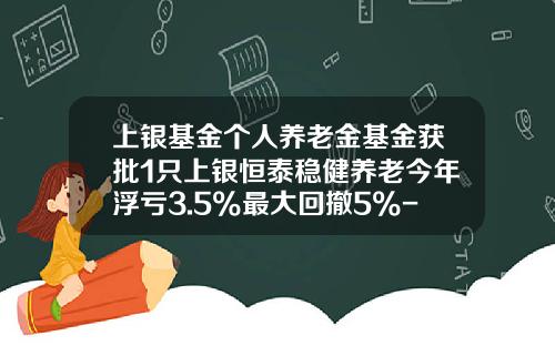上银基金个人养老金基金获批1只上银恒泰稳健养老今年浮亏3.5%最大回撤5%-九银基金