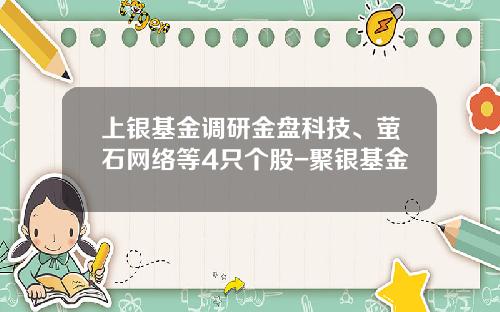 上银基金调研金盘科技、萤石网络等4只个股-聚银基金