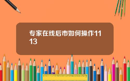 专家在线后市如何操作1113