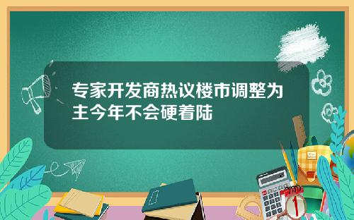专家开发商热议楼市调整为主今年不会硬着陆