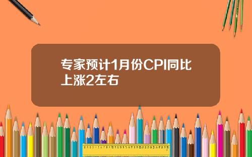 专家预计1月份CPI同比上涨2左右