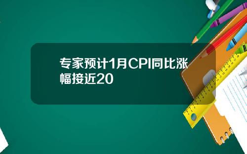 专家预计1月CPI同比涨幅接近20