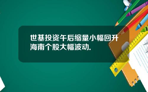 世基投资午后缩量小幅回升海南个股大幅波动.