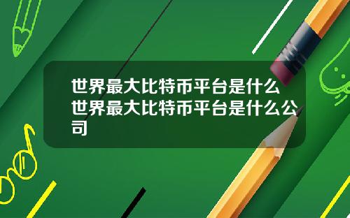 世界最大比特币平台是什么世界最大比特币平台是什么公司