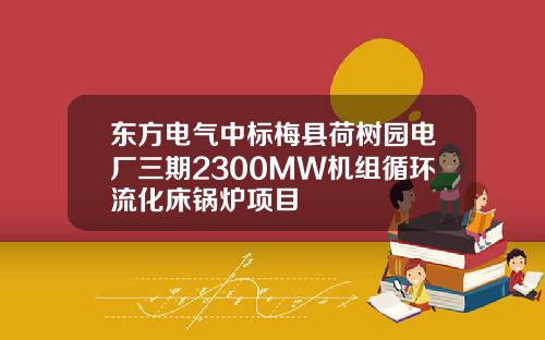 东方电气中标梅县荷树园电厂三期2300MW机组循环流化床锅炉项目
