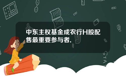 中东主权基金成农行H股配售最重要参与者.