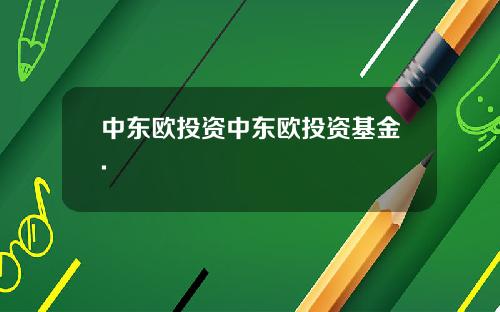 中东欧投资中东欧投资基金.