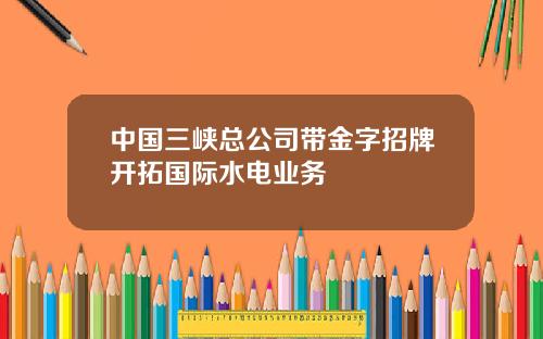 中国三峡总公司带金字招牌开拓国际水电业务