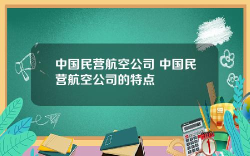 中国民营航空公司 中国民营航空公司的特点