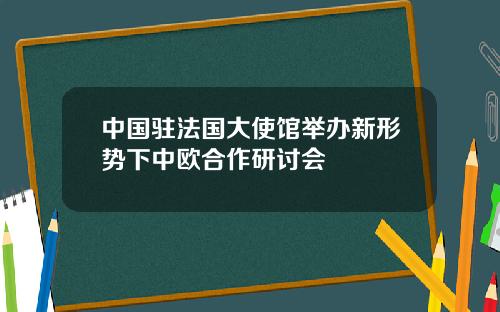 中国驻法国大使馆举办新形势下中欧合作研讨会
