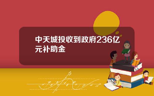中天城投收到政府236亿元补助金