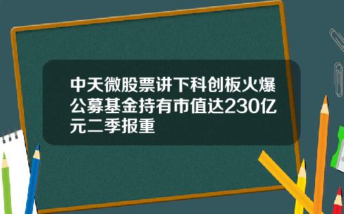中天微股票讲下科创板火爆公募基金持有市值达230亿元二季报重